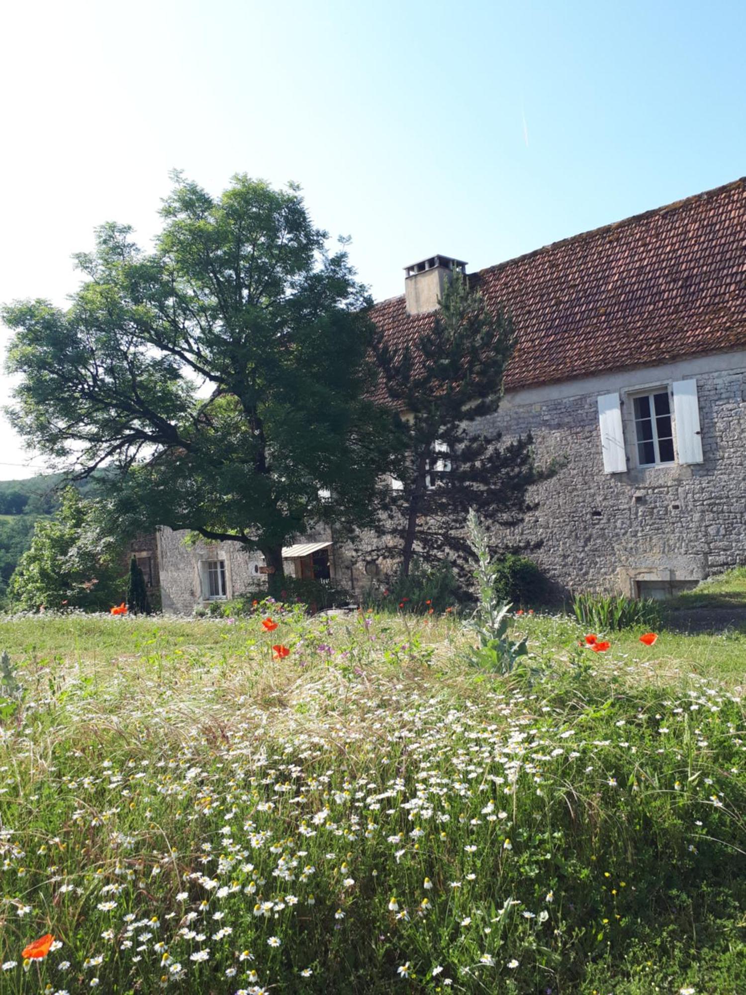 La Ferme De Roquedure Hotel Montfaucon  Екстериор снимка